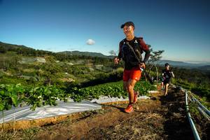 BIB: 
                            <button type="button" onclick="openModal(19121704)" class="btn btn-primary btn-sm float-right btn-popup" data-toggle="modal" data-target=".modal-high-quality">
                        <i class="fas fa-shopping-cart"></i> Add to Cart
                    </button>
                                            <button type="button" onclick="isThisMe(19121704, true)" class="btn btn-success btn-sm float-right btn-popup btn-isme hidden" data-toggle="tooltip" data-placement="bottom" title="นี่คือรูปของคุณใช่ไหม คลิกที่นี่เพื่อเอาเข้าอัลบั้ม">
                        <i class="fas fa-plus"></i> Add to album
                    </button>
                    <button type="button" onclick="isThisMe(19121704, false)" class="btn btn-warning btn-sm float-right btn-popup btn-isnotme hidden">
                        <i class="fas fa-ban"></i> Remove from album
                    </button>